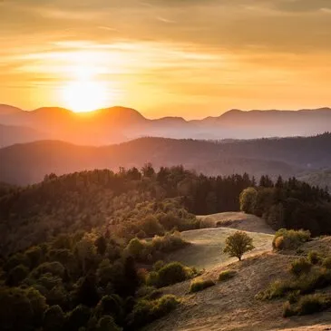 Réserver Baptême en ULM et Autogire département Haut rhin Réserver Baptême en ULM et Autogire département Haut rhin