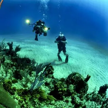 Sport Aquatique en région Belgique Sport Aquatique en région Belgique