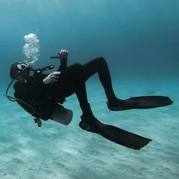 Baptême de plongée proche Philippeville, à 50 min de Namur Baptême de plongée proche Philippeville, à 50 min de Namur