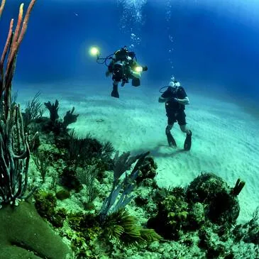 Sport Aquatique en région Belgique Sport Aquatique en région Belgique