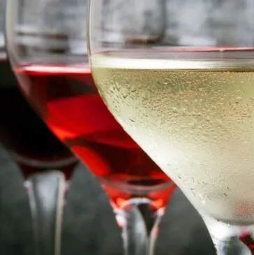 Journée d'Initiation à l'Œnologie à La Rochelle en région Poitou-Charentes Journée d'Initiation à l'Œnologie à La Rochelle en région Poitou-Charentes