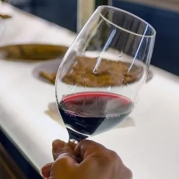 Réserver Cours d'œnologie en Poitou-Charentes