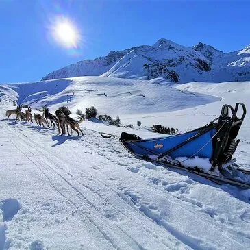 Randonnée en Chiens de Traîneau à La Mongie Randonnée en Chiens de Traîneau à La Mongie