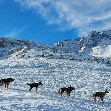 Hautes pyrénées (65) Midi-Pyrénées - Montagne - Sports d&#39;Hiver