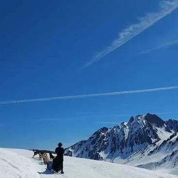 Réserver Chien de Traîneau en Midi-Pyrénées