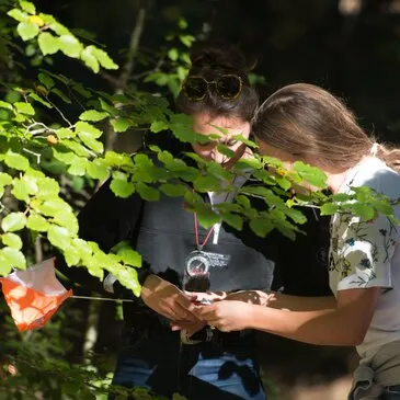 Stage de Survie, département Ille et vilaine Stage de Survie, département Ille et vilaine