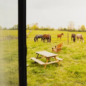 Offrir Weekend et Hébergement Insolite en Normandie Offrir Weekend et Hébergement Insolite en Normandie