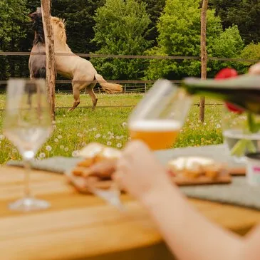 Nuit insolite en Tiny House au cœur du Perche Nuit insolite en Tiny House au cœur du Perche