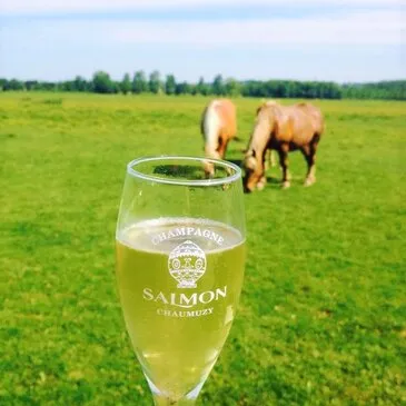 Vol en Montgolfière à Capbreton - Survol des Landes en région Aquitaine Vol en Montgolfière à Capbreton - Survol des Landes en région Aquitaine