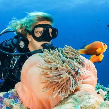Réserver Baptême de plongée département Gironde Réserver Baptême de plongée département Gironde