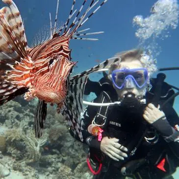 Réserver Baptême de plongée en Aquitaine Réserver Baptême de plongée en Aquitaine