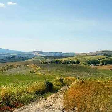Seine et marne (77) Ile-de-France - Stage de Pilotage Seine et marne (77) Ile-de-France - Stage de Pilotage