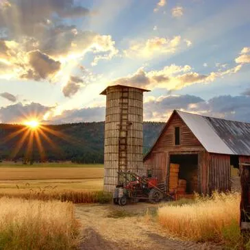 Réserver Quad & Buggy en Ile-de-France Réserver Quad & Buggy en Ile-de-France