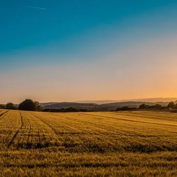 Offrir Quad & Buggy département Eure et loir Offrir Quad & Buggy département Eure et loir