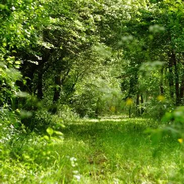 Quad & Buggy proche Neuville-aux-Bois, à 1h10 de Chartres Quad & Buggy proche Neuville-aux-Bois, à 1h10 de Chartres