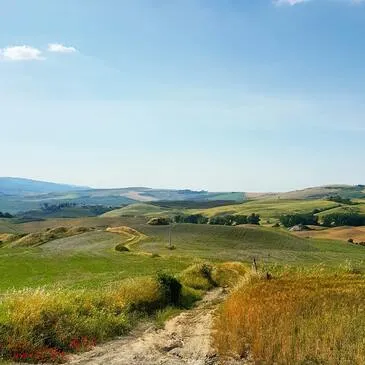Essonne (91) Ile-de-France - Stage de Pilotage Essonne (91) Ile-de-France - Stage de Pilotage
