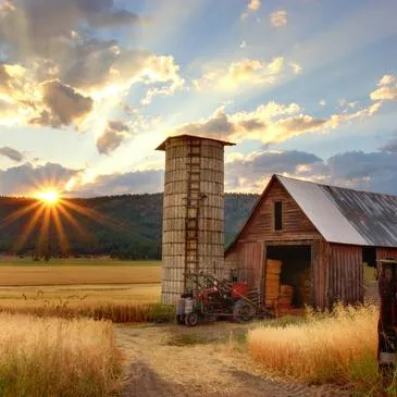 Réserver Quad & Buggy département Essonne Réserver Quad & Buggy département Essonne