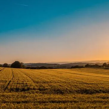 Réserver Quad & Buggy en Ile-de-France Réserver Quad & Buggy en Ile-de-France