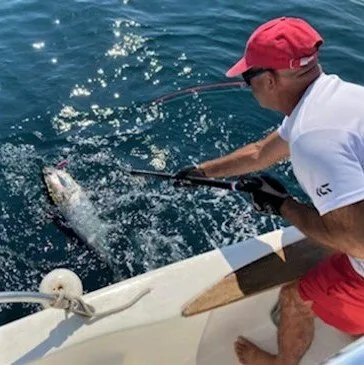 Pêche au gros proche Carnon, à 30 min de Montpellier Pêche au gros proche Carnon, à 30 min de Montpellier