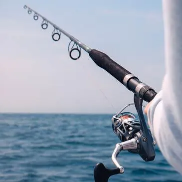 Pêche au gros en région Languedoc-Roussillon Pêche au gros en région Languedoc-Roussillon
