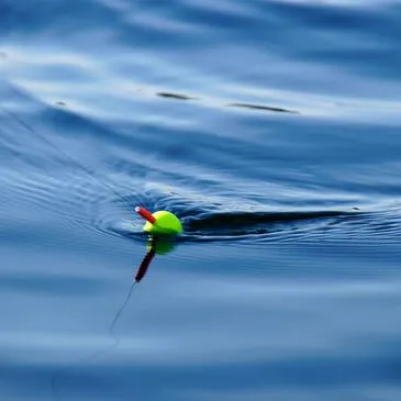 Hérault (34) Languedoc-Roussillon - Sport Aquatique Hérault (34) Languedoc-Roussillon - Sport Aquatique