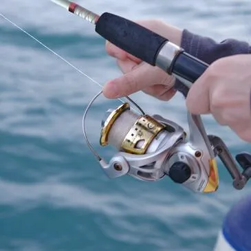 Pêche au gros proche Carnon, à 30 min de Montpellier Pêche au gros proche Carnon, à 30 min de Montpellier