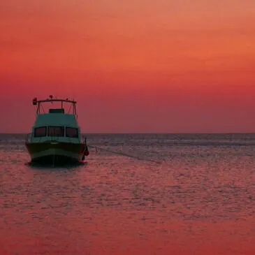 Balade en bateau proche Carnon, à 30 min de Montpellier Balade en bateau proche Carnon, à 30 min de Montpellier