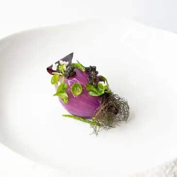 Réserver Week end Gastronomique en Languedoc-Roussillon Réserver Week end Gastronomique en Languedoc-Roussillon