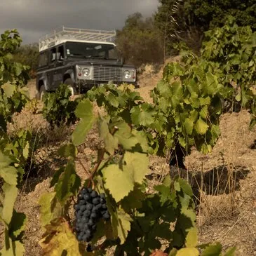 Week End Œnologique au Domaine Riberach près de Perpignan Week End Œnologique au Domaine Riberach près de Perpignan