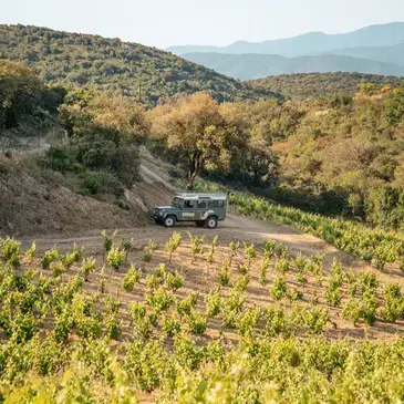 Week End Œnologique au Domaine Riberach près de Perpignan Week End Œnologique au Domaine Riberach près de Perpignan