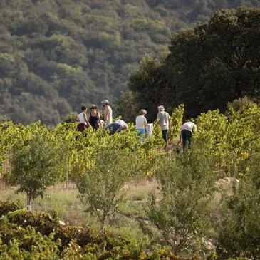 Bélesta, à 30 min de Perpignan, Pyrénées orientales (66) - Week end Gastronomique Bélesta, à 30 min de Perpignan, Pyrénées orientales (66) - Week end Gastronomique