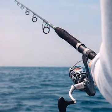 Pêche au gros, département Hérault Pêche au gros, département Hérault