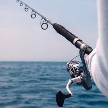 Pêche au gros, département Hérault Pêche au gros, département Hérault