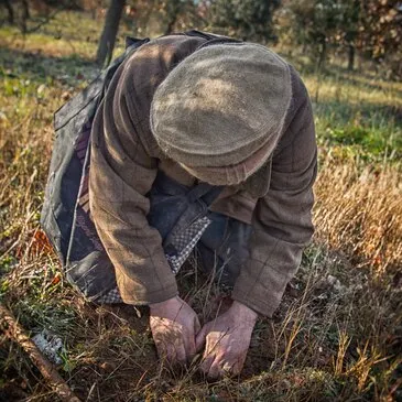 Cours de Cuisine, département Indre et loire Cours de Cuisine, département Indre et loire
