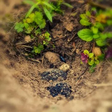 Chinon, Indre et loire (37) - Cours de Cuisine Chinon, Indre et loire (37) - Cours de Cuisine