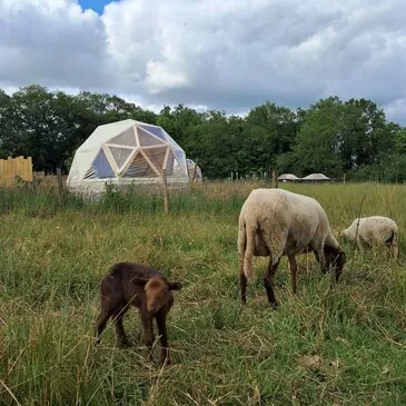 Weekend et Hébergement Insolite proche Vallet, à 25 min de Nantes Weekend et Hébergement Insolite proche Vallet, à 25 min de Nantes