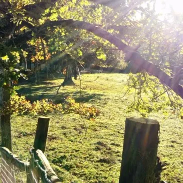 Réserver Weekend et Hébergement Insolite département Hautes pyrénées Réserver Weekend et Hébergement Insolite département Hautes pyrénées