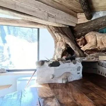 Weekend et Hébergement Insolite proche Castelnau-Rivière-Basse, à 40 min de Tarbes Weekend et Hébergement Insolite proche Castelnau-Rivière-Basse, à 40 min de Tarbes