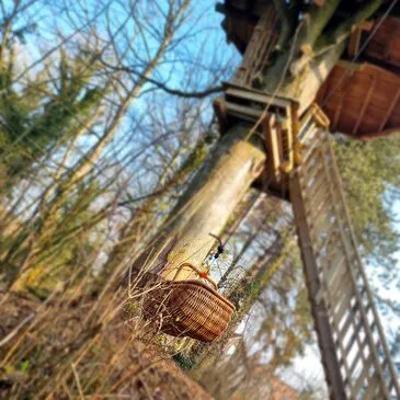 Cabane dans les Arbres avec Spa près du Touquet Cabane dans les Arbres avec Spa près du Touquet