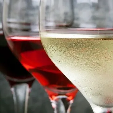 Cours d'Œnologie à Saumur en région Pays-de-la-Loire Cours d'Œnologie à Saumur en région Pays-de-la-Loire