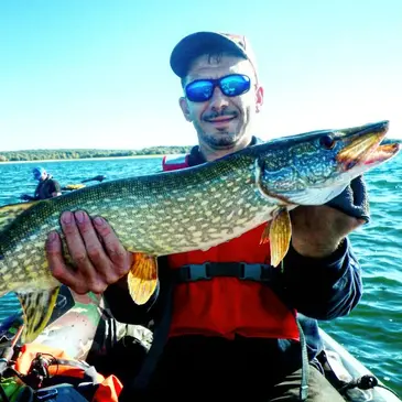 Pêche au gros, département Calvados Pêche au gros, département Calvados