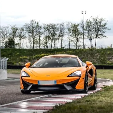 Anneau du Rhin, Haut rhin (68) - Stage de Pilotage Multi Sportives