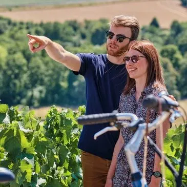 Aix-en-Provence, Bouches du Rhône (13) - City Tour Aix-en-Provence, Bouches du Rhône (13) - City Tour