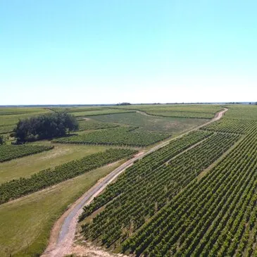 Urbain en région PACA et Corse Urbain en région PACA et Corse