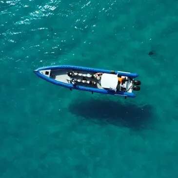 Alpes Maritimes (06) PACA et Corse - Sport Aquatique Alpes Maritimes (06) PACA et Corse - Sport Aquatique