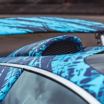 Pilotage en Bugatti Veyron - Musée National de l'Auto à Mulhouse en région Alsace Pilotage en Bugatti Veyron - Musée National de l'Auto à Mulhouse en région Alsace