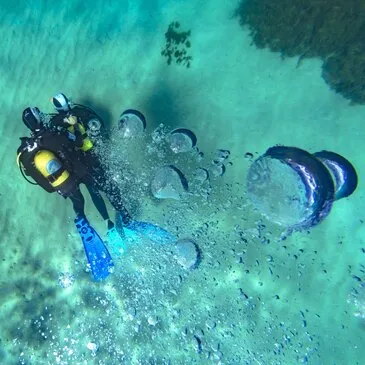 Baptême de plongée, département Bouches du Rhône Baptême de plongée, département Bouches du Rhône