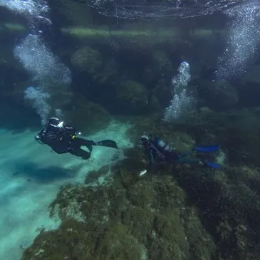 Baptême de plongée en région PACA et Corse Baptême de plongée en région PACA et Corse