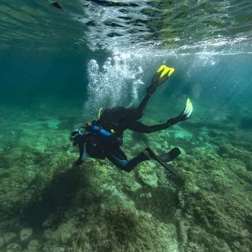 Bouches du Rhône (13) PACA et Corse - Sport Aquatique Bouches du Rhône (13) PACA et Corse - Sport Aquatique
