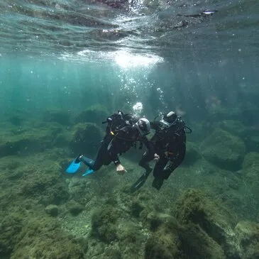 Plongée à Carry-le-Rouet : Calanques de la Côte Bleue en région PACA et Corse Plongée à Carry-le-Rouet : Calanques de la Côte Bleue en région PACA et Corse